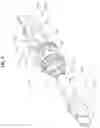 Fig. 05 - Electric parking brake device