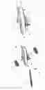 Fig. 05 - Integral type dust cover with bearings