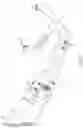 Fig. 04 - Exhaust shield assembly