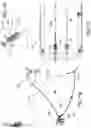 Fig. 10 - Mooring and tensioning methods, systems, and apparatus