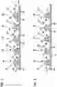 Fig. 07 - Recloseable zipper closure arrangement, recloseable pouches, and methods