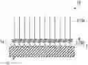 Fig. 01 - CARBON NANOTUBE, CARBON-BASED FINE STRUCTURE, AND SUBSTRATE HAVING CARBON NANOTUBE, AND METHOD RESPECTIVELY FOR PRODUCING THESE PRODUCTS