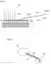 Fig. 03 - CARBON NANOTUBE, CARBON-BASED FINE STRUCTURE, AND SUBSTRATE HAVING CARBON NANOTUBE, AND METHOD RESPECTIVELY FOR PRODUCING THESE PRODUCTS
