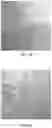 Fig. 24 - Biogenic activated carbon and methods of making and using same