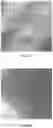Fig. 25 - Biogenic activated carbon and methods of making and using same