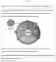 Fig. 02 - SOIL ENHANCEMENT