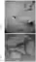 Fig. 07 - SOIL ENHANCEMENT