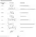 Fig. 03 - COMPOSITION FOR USE IN DETECTING AN ALLERGY TO CLAVULANIC ACID