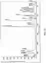 Fig. 14 - Ammonium carboxylate compound, crystalline form, amorphous form and preparation method thereof