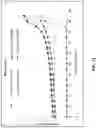 Fig. 22 - Ammonium carboxylate compound, crystalline form, amorphous form and preparation method thereof