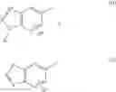 Fig. 23 - QUINOLONE COMPOUND