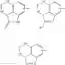 Fig. 44 - QUINOLONE COMPOUND