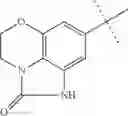Fig. 442 - QUINOLONE COMPOUND