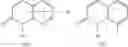 Fig. 594 - QUINOLONE COMPOUND