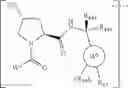 Fig. 1232 - Compounds and methods for the targeted degradation of androgen receptor