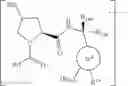 Fig. 20 - Compounds and methods for the targeted degradation of androgen receptor
