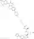 Fig. 429 - Compounds and methods for the targeted degradation of androgen receptor