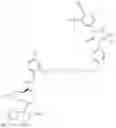 Fig. 984 - Compounds and methods for the targeted degradation of androgen receptor