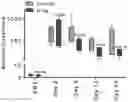 Fig. 01 - 5HT1F receptor agonists and mitochondrial biogenesis