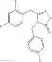 Fig. 203 - Heterocyclic P2X7 antagonists