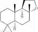 Fig. 03 - Process for the preparation of unsaturated carboxylic acids by carbonylation of allyl alcohols and their acylation products
