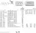 Fig. 04 - Methods and compositions relating to genotoxin colibactin