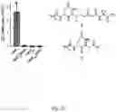 Fig. 05 - Methods and compositions relating to genotoxin colibactin