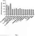 Fig. 08 - Methods and compositions relating to genotoxin colibactin
