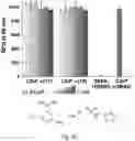 Fig. 10 - Methods and compositions relating to genotoxin colibactin