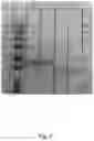 Fig. 12 - Methods and compositions relating to genotoxin colibactin