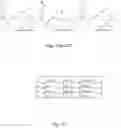 Fig. 14 - Methods and compositions relating to genotoxin colibactin