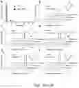 Fig. 15 - Methods and compositions relating to genotoxin colibactin