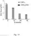 Fig. 16 - Methods and compositions relating to genotoxin colibactin