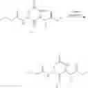 Fig. 23 - Methods and compositions relating to genotoxin colibactin