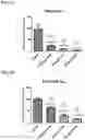 Fig. 03 - Potent gamma-secretase modulators