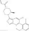 Fig. 208 - KRAS G12C INHIBITORS AND METHODS OF USING THE SAME