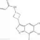 Fig. 260 - KRAS G12C INHIBITORS AND METHODS OF USING THE SAME