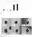 Fig. 02 - Integrin antagonists