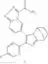Fig. 32 - Five-membered heteroaryl ring bridged ring derivative, preparation method therefor and medical use thereof