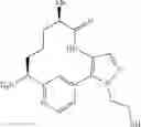 Fig. 173 - Pyrimidinones as factor XIA inhibitors