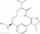 Fig. 203 - Pyrimidinones as factor XIA inhibitors