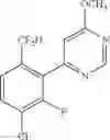 Fig. 213 - Pyrimidinones as factor XIA inhibitors