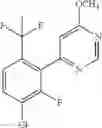 Fig. 219 - Pyrimidinones as factor XIA inhibitors