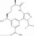 Fig. 252 - Pyrimidinones as factor XIA inhibitors