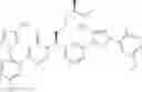 Fig. 462 - Pyrimidinones as factor XIA inhibitors