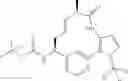 Fig. 581 - Pyrimidinones as factor XIA inhibitors