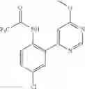 Fig. 595 - Pyrimidinones as factor XIA inhibitors