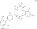 Fig. 617 - Pyrimidinones as factor XIA inhibitors