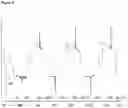 Fig. 03 - Polymorphs