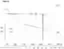 Fig. 07 - Polymorphs